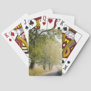 Baralho Cades Cove  Montanhas de fumo de Excelente, TN