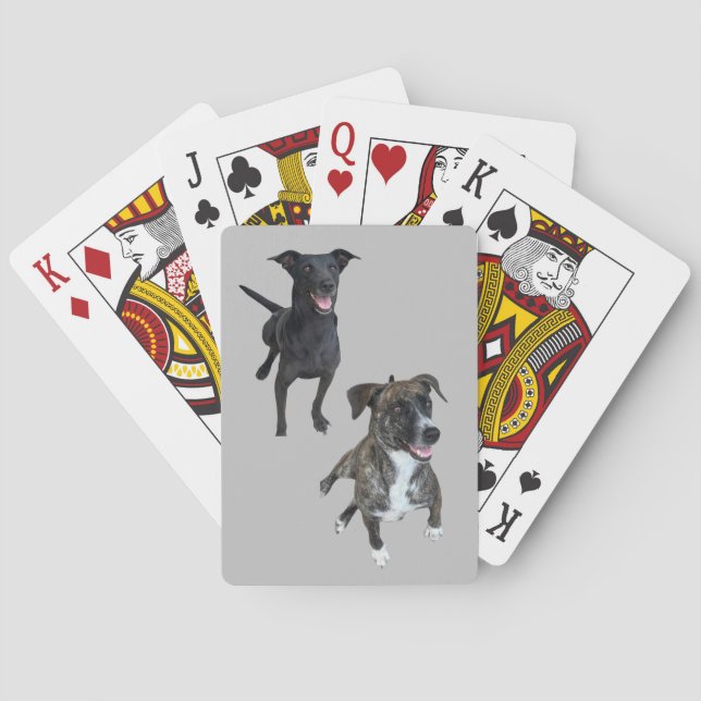 Baralho Cães Carlos (Verso)