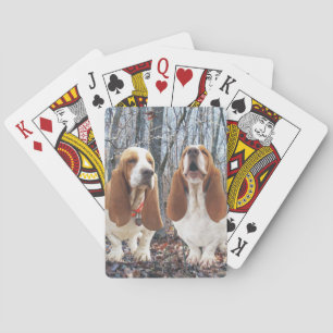 Baralho Cães de Basset nas madeiras