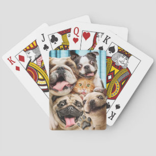 Baralho Cães e uma Foto de Grupo de Gatos