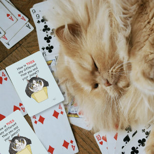 Baralho Caixa de Gatos Engraçado Chubby Tabby