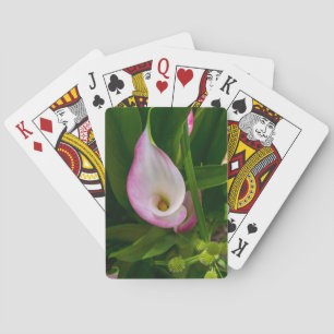 Baralho Calla Roll