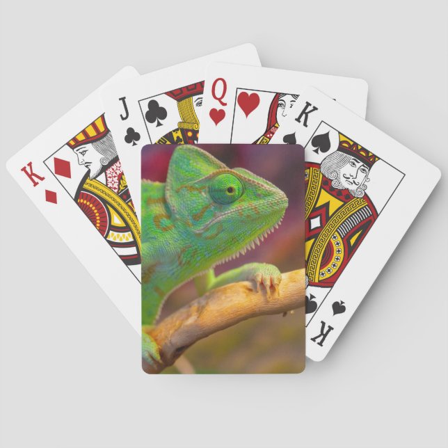 Baralho Camaleão Verde (Verso)