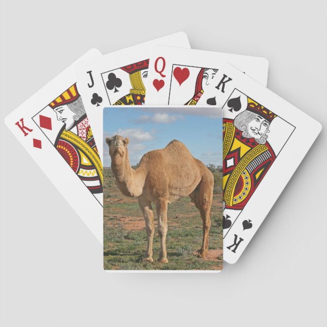 Baralho Camel (Verso)