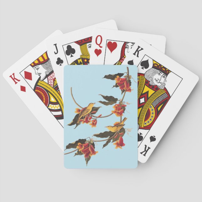 Baralho Canaviais Amarelos de Warbler na Flor da Vinha (Verso)