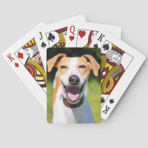Baralho Cão de riso das imagens de Getty