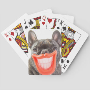 Baralho Cão de sorriso das imagens   A de Getty