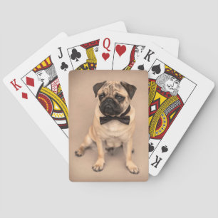 Baralho Cão do Pug com laço