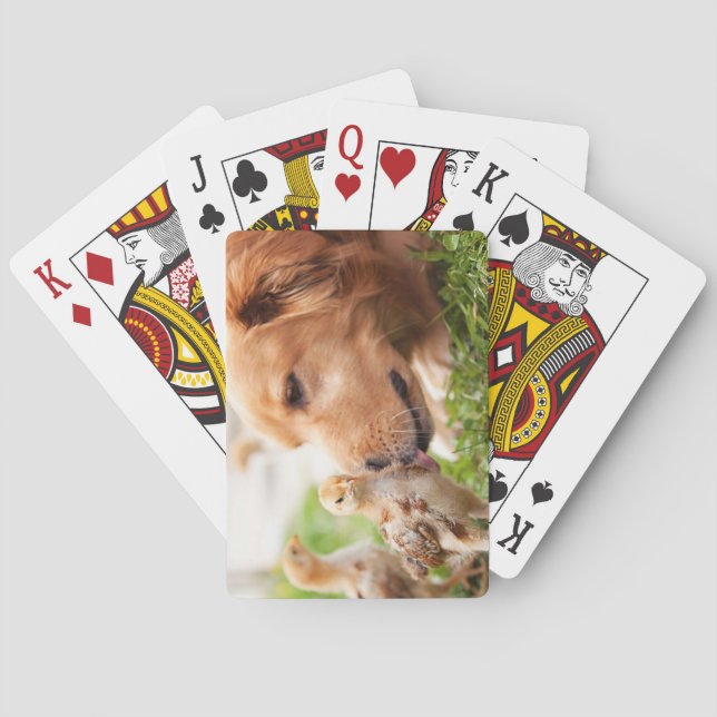 Baralho Cão e pintinho (Verso)