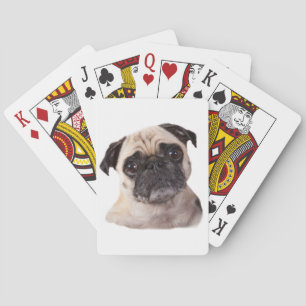 Baralho cão pequeno bonito do pug