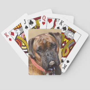 Baralho Cão rajado do pugilista