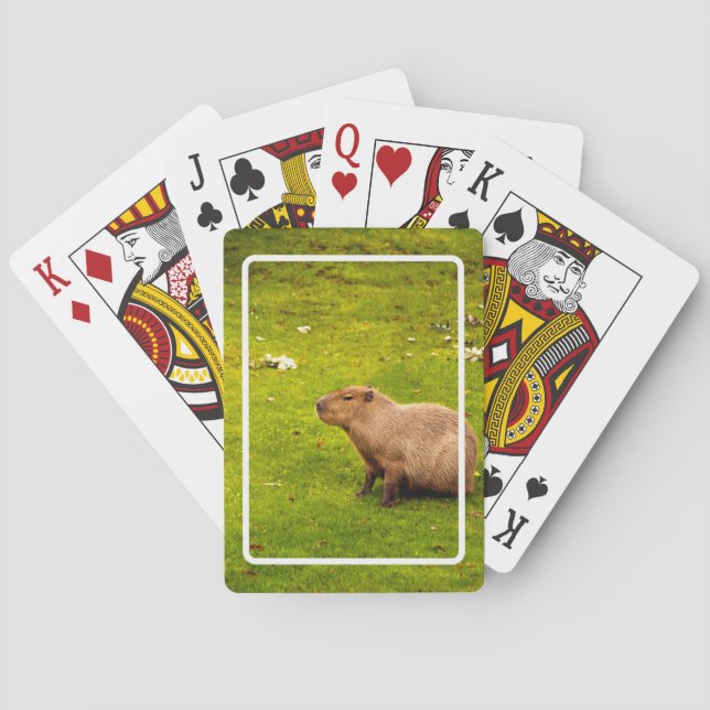 Baralho Capivara (Verso)
