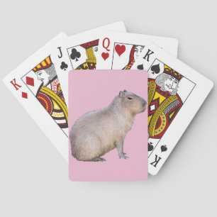 Baralho Capybara