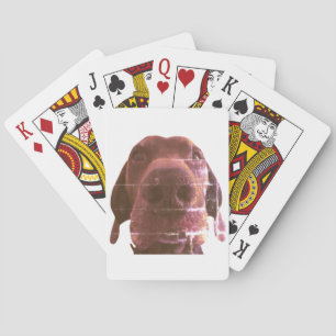 Baralho cara de cão jogando cartas