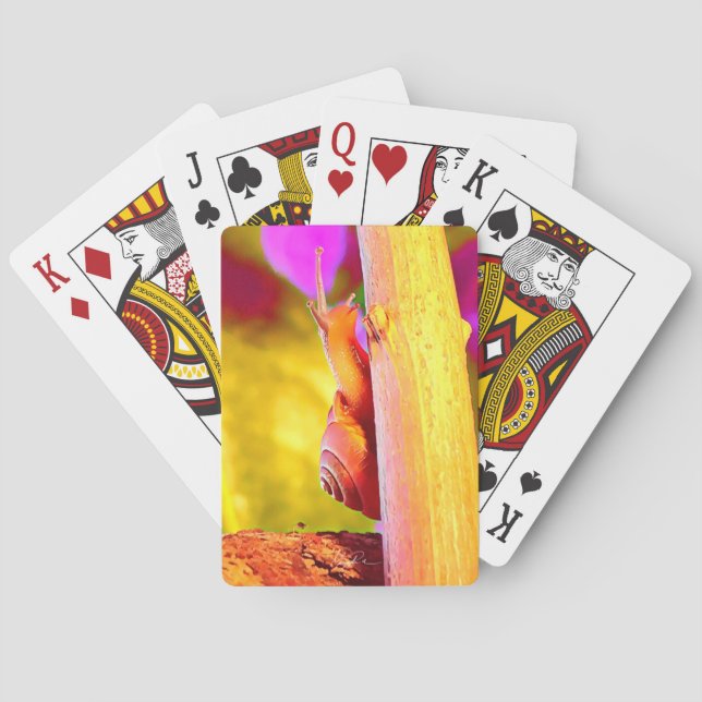 Baralho Caracol (Verso)