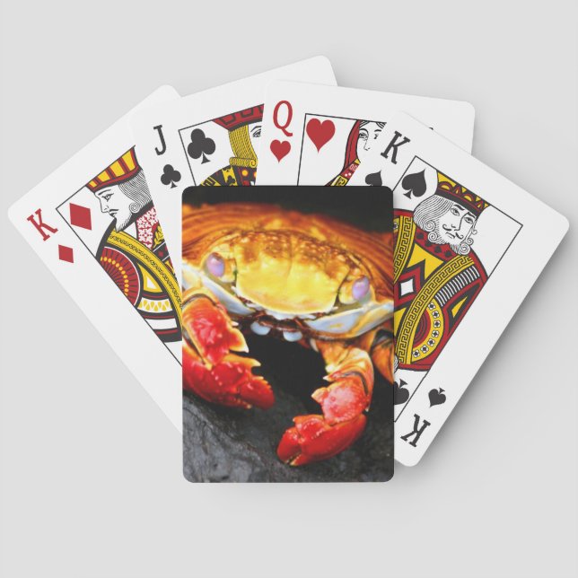 Baralho Caranguejo Galápagos (Verso)