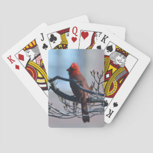 Baralho Cardinal