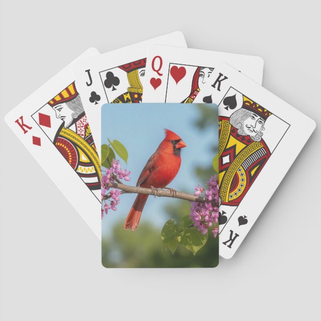Baralho Cardinal em um galho de Redbud (Verso)