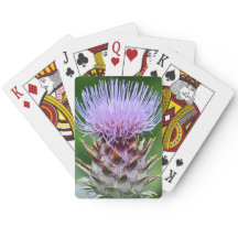 Cardo Cardo Thistle Floral