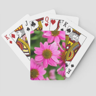 Baralho Cartas Clássicas com Equinácea Rosa