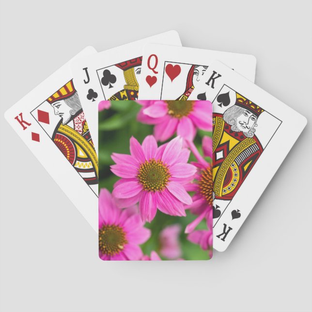 Baralho Cartas Clássicas com Equinácea Rosa (Verso)