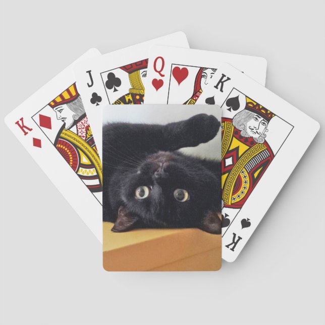 Baralho Cartas Clássicas de Gato Preto de Cabeça para Baix (Verso)
