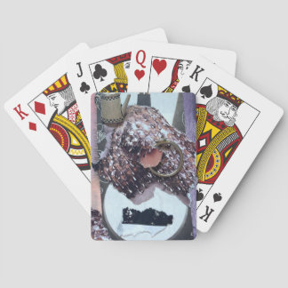 Baralho Cartas de Baralho: O Anel Mágico