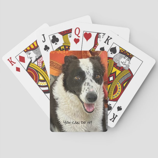 Baralho Cartas de Jogar Border Collie Preto e Branco (Verso)