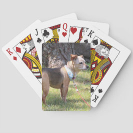 Baralho Cartas de Jogar da Lily