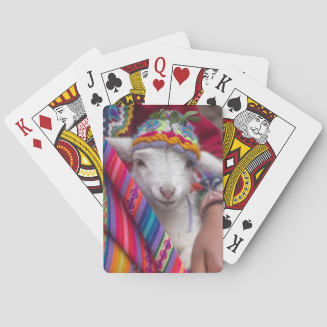 Baralho Cartas de jogar de cordeiro bebê fofo animal (Verso)