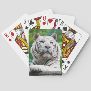 Baralho Cartas de jogar Tigre Branco