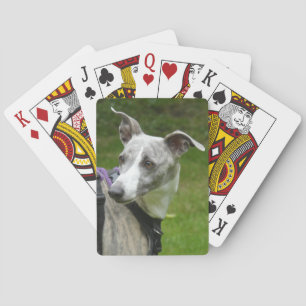 Baralho Cartas de jogo