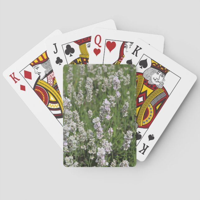 Baralho Cartas de Melissa Lavender (Verso)