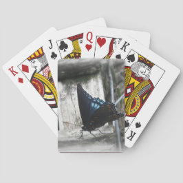 Baralho Cartas de Memória de Borboleta