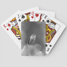 Baralho Cartões Clássicos de Hummingbird