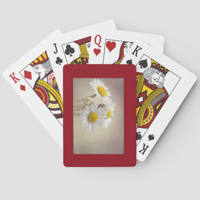 Baralho Cartões da margarida (Verso)