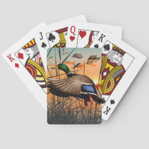 Baralho Cartões De Brincadeira, Mallard Voador