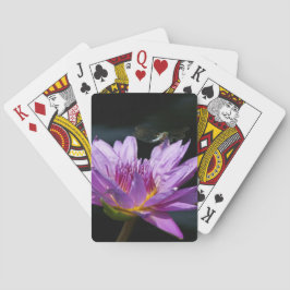 Baralho Cartões De Brinquedo De Dragonfly