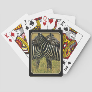 Baralho Cartões De Fotografia De Zebra Hugs