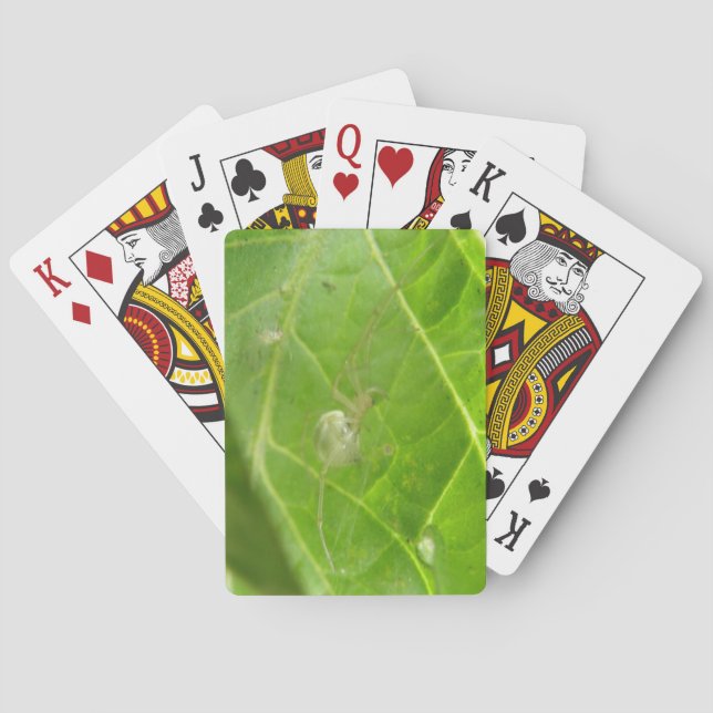 Baralho Cartões De Jogada De Aranha (Verso)