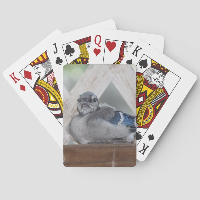 Baralho Cartões De Jogada De Azul (Verso)