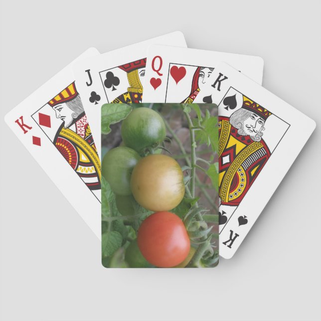 Baralho Cartões De Jogada De Tomates Luzes (Verso)