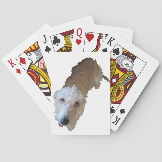 Baralho Cartões De Jogar Cachorro (Verso)