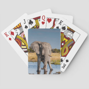 Baralho Cartões de jogo com imagem dianteira do elefante