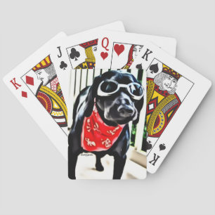 Baralho Cartões de jogo com o BlackDogLuke nos óculos de