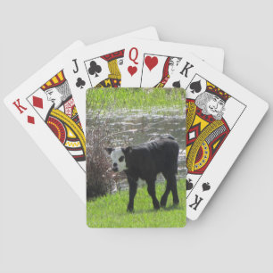 Baralho Cartões de jogo da vaca do bebê