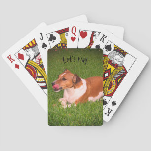 Baralho Cartões de jogo de Jack Russell