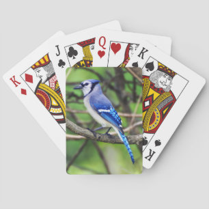 Baralho Cartões de jogo de Jay azul