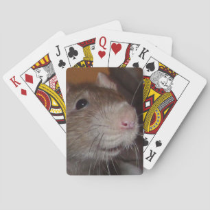Baralho cartões de jogo de riso do rato