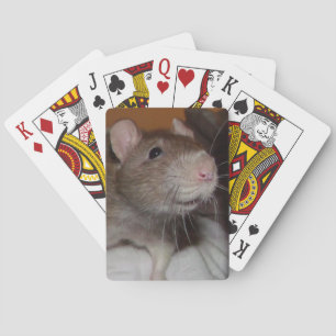 Baralho cartões de jogo de riso do rato